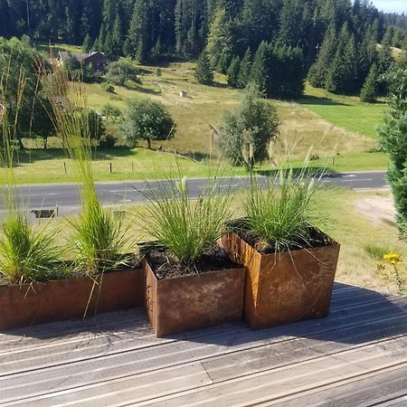 Chalet Les Vosgiennes Le Valtin Dış mekan fotoğraf