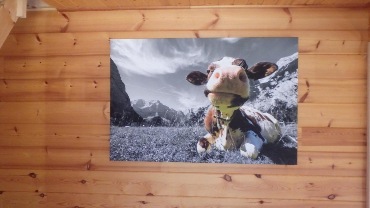 Chalet Les Vosgiennes Le Valtin Dış mekan fotoğraf