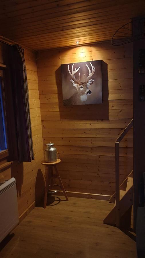Chalet Les Vosgiennes Le Valtin Dış mekan fotoğraf